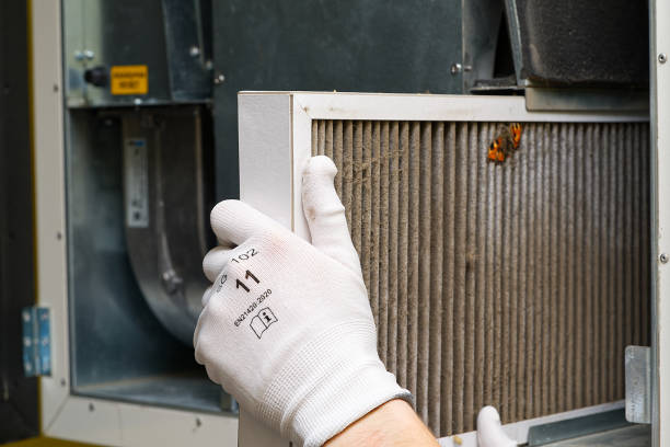 Best Affordable Duct Cleaning Services  in Garyville, LA
